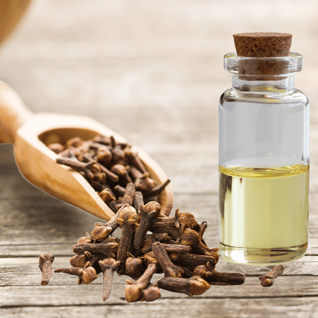 Mehendi Clove Oil <br>(100 Ml - 1 Ltr.)</br>
